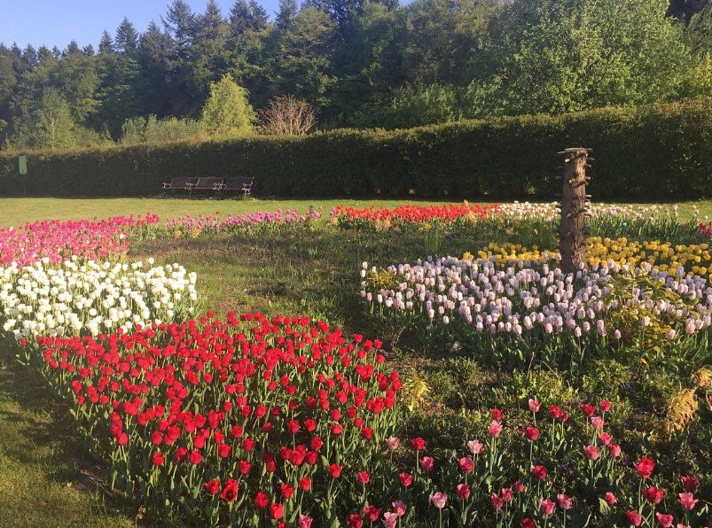Usedoms Botanischer Garten, Germany